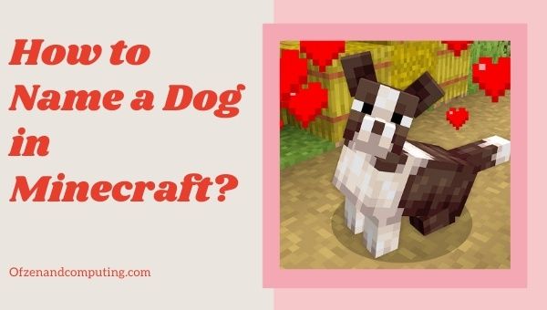 How to Name a Dog in Minecraft? (2022) with Pictures
