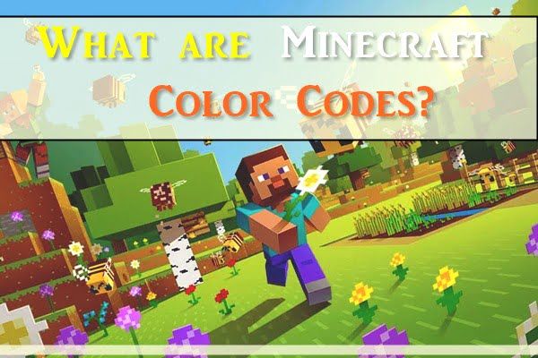 What Are Minecraft Color Codes?