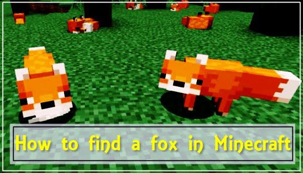 How to Find a Fox in Minecraft?