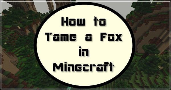 How to Tame a Fox in Minecraft? 2020 Tutorial