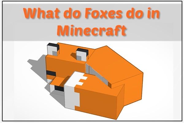 What Foxes Do in Minecraft?