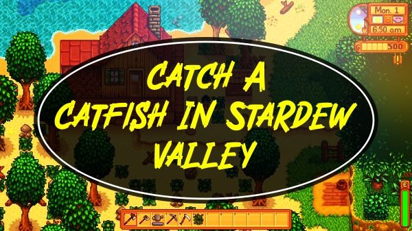 How to Catch A Catfish In Stardew Valley?