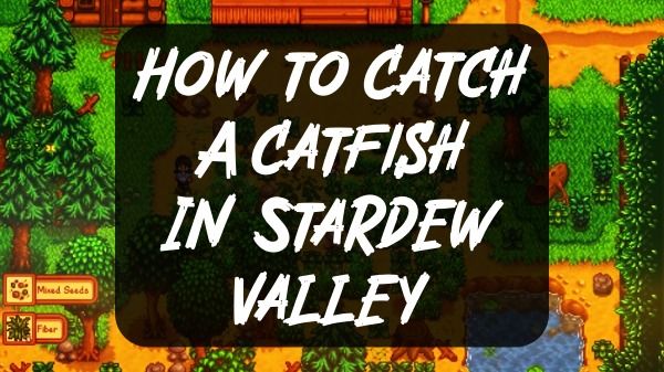 How to Catch A Catfish In Stardew Valley + Location, Where to Find Them?