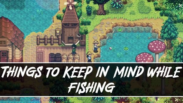 Things to Keep in Mind While Fishing