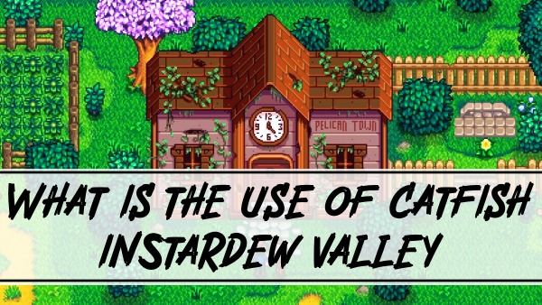 What is the Use of Catfish in Stardew Valley?