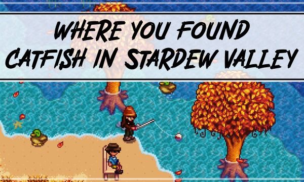 How and Where You Find Catfish in Stardew Valley? 
