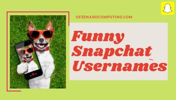 Funny Snapchat Usernames 2022 (Names)