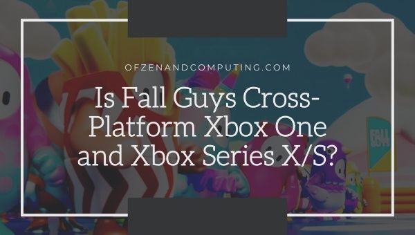 Is Fall Guys Cross-Platform Xbox One and Xbox Series X/S?