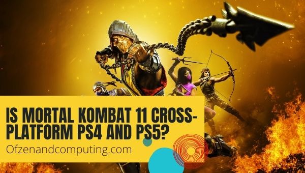 Is Mortal Kombat 11 Cross-Platform PS4 and PS5?