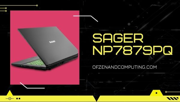 Sager NP7879PQ Gaming Laptop