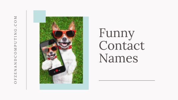 Funny Contact Names (2022)