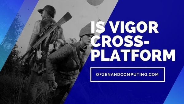 Is Vigor Cross-Platform in 2022?