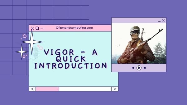 Vigor - A Quick Introduction