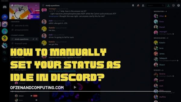 How to manually set your status as Idle in Discord?