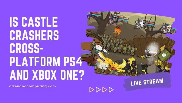 Is Castle Crashers Cross-Platform PS4 and Xbox One?