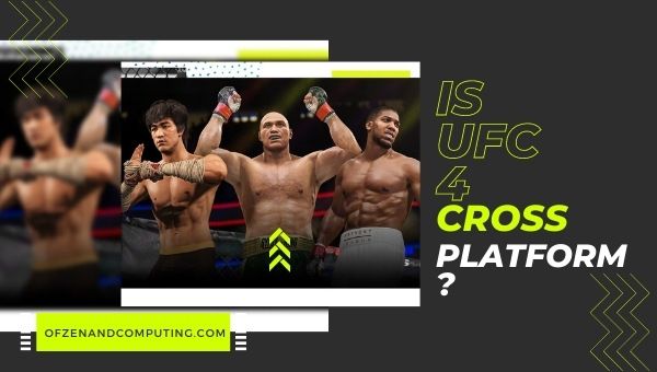 Is UFC 4 Cross-Platform in 2022?