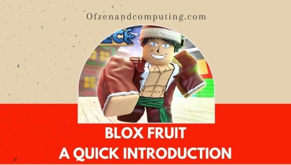 Blox Fruit - A Quick Introduction