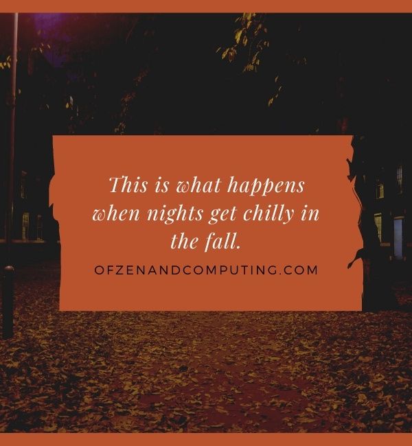 Fall Night Captions For Instagram (2022) 