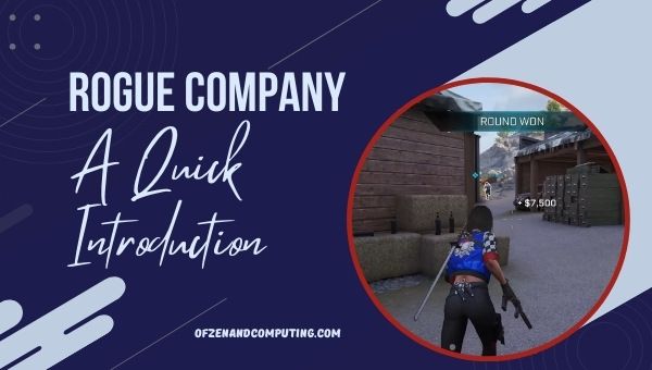 Rogue Company - A Quick Introduction