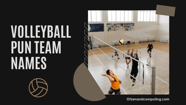 Volleyball Pun Team Names Ideas (2022)