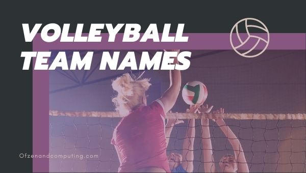 Good Volleyball Team Names Ideas (2022) Funny, Cool