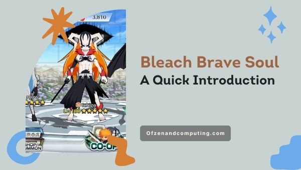 Bleach Brave Soul A Quick Introduction