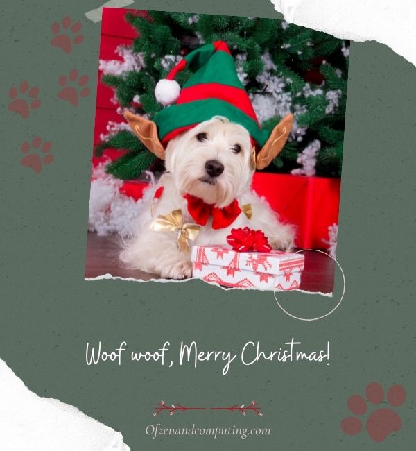 Dog Instagram Captions For Christmas (2022)