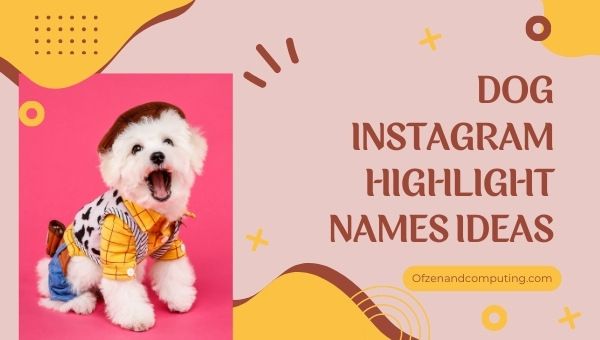 Dog Instagram Highlight Names Ideas (2022)