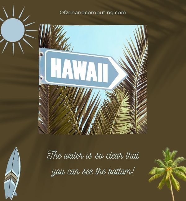 Good Hawaii Captions For Instagram (2022)