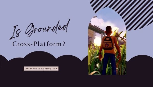 Is Grounded Cross-Platform in 2022?