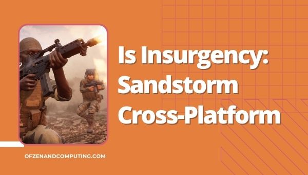 Is Insurgency: Sandstorm Cross-Platform in 2022?