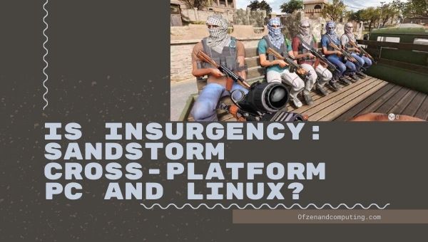 Is Insurgency Sandstorm Cross-Platform PC and LINUX?