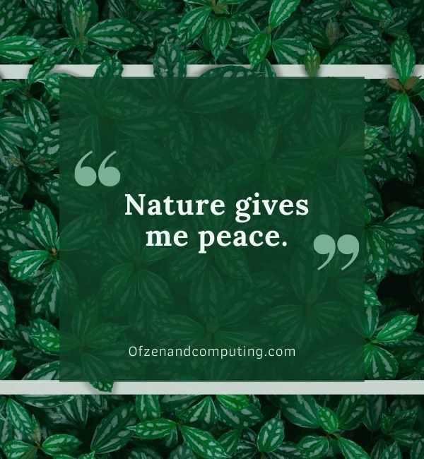 Green Nature Captions For Instagram