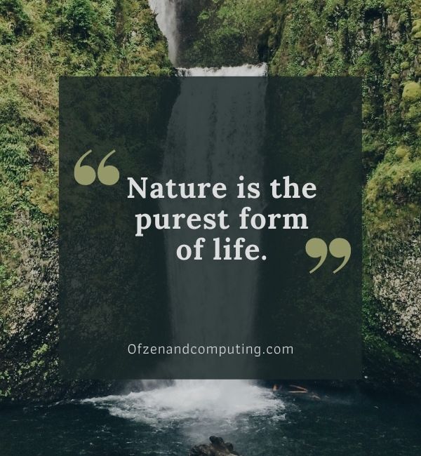 Instagram Captions About Life And Nature