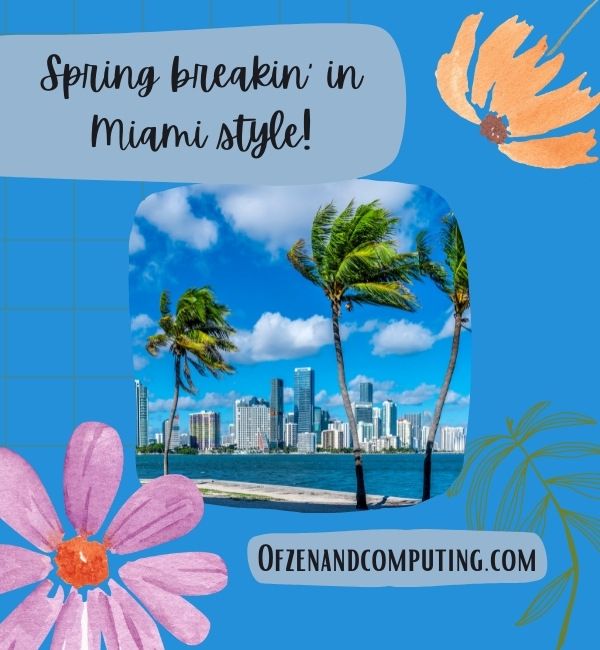 Miami Spring Break Captions For Instagram (2022)
