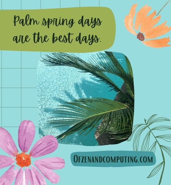 Palm Spring Caption For Instagram (2022)